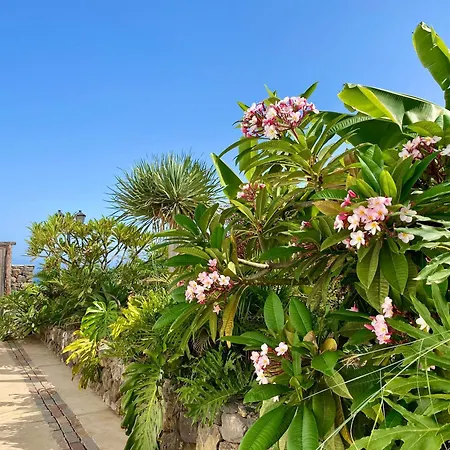 Casa Lava Luminosa Y Con Magnificas Vistas Dom wakacyjny La Orotava